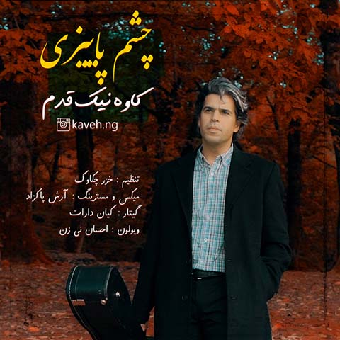 دانلود آهنگ کاوه نیک قدم چشم پاییزی